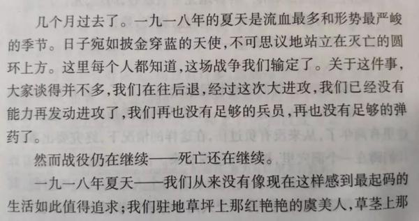 《西线无战事》读后感：愿世间再无战争 9