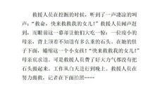 母爱的力量-小鸭子历险记作文400字