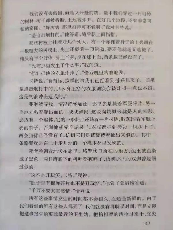 《西线无战事》读后感：愿世间再无战争 8
