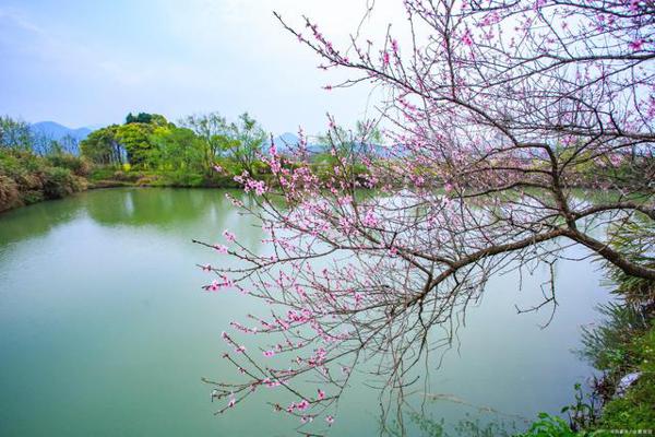 申论作文素材:2020年4月15日《人民日报》好句子,推荐收藏!