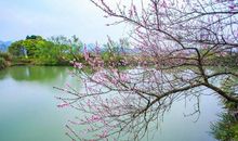 申论作文素材：2020年4月15日《人民日报》好句子，推荐收藏！