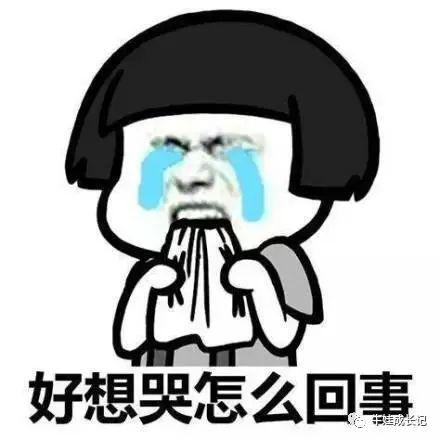 “爸爸就是不动如山！”00后写起作文有多野？差点笑断气 22