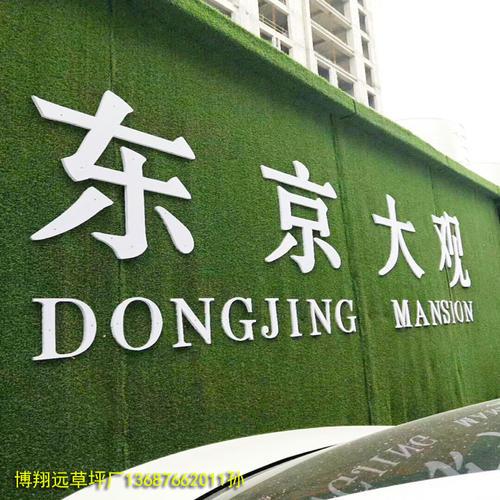 赛场上的感动_750字
