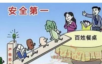 食品安全，我的安全 以食品安全为话题的作文800字
