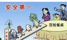 食品安全，我的安全 以食品安全为话题的作文800字