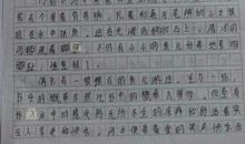 皆为黑马，扭转乾坤-周记一则600字