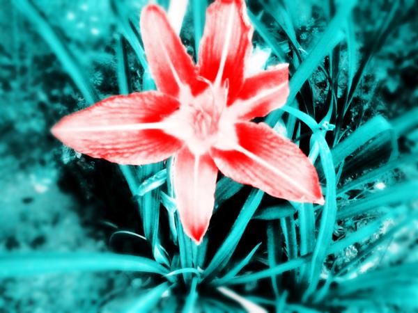 二年级作文，写作文有压力？写几个句子就可以？ 1