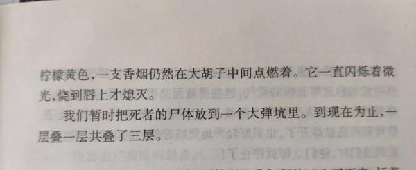 《西线无战事》读后感：愿世间再无战争 1
