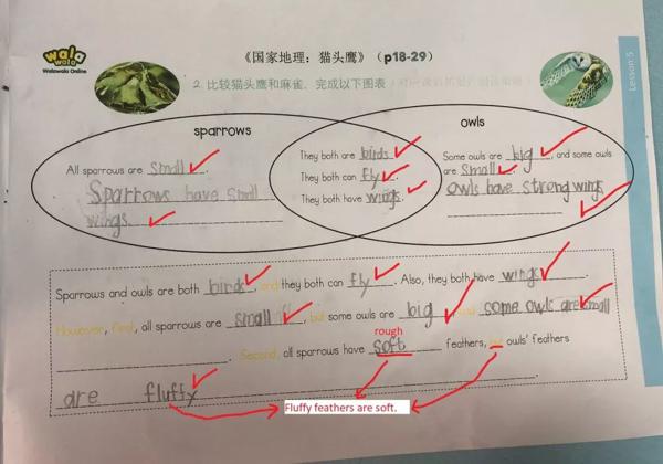 学好思维导图，孩子再也不怕写英语作文啦！ 15
