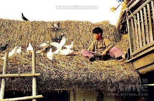 分享小学生作文,我阅读,我快乐,《草房子》读后感 4