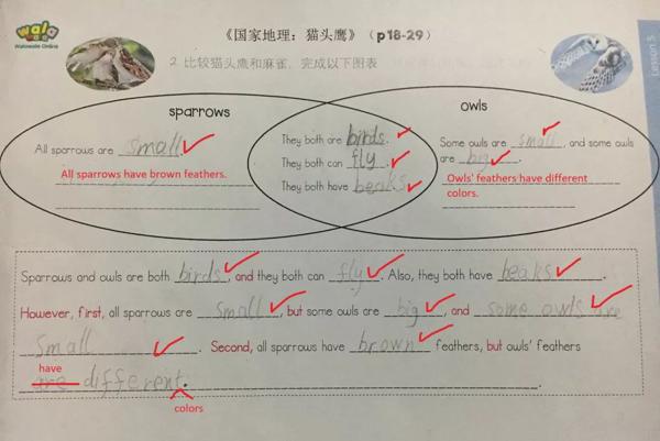 学好思维导图，孩子再也不怕写英语作文啦！ 14