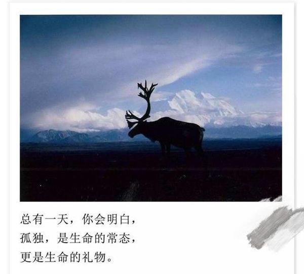 小学生作文《孤独》满分,全文没提到“孤独”,却让人潸然泪下 5