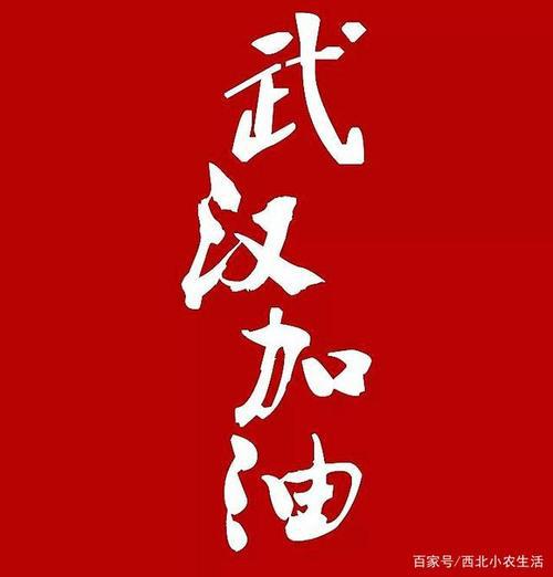 不同寻常的春节 武汉加油中国加油作文500字