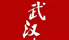 不同寻常的春节 武汉加油中国加油作文500字