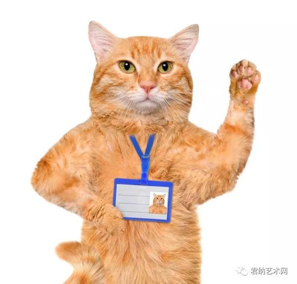 被誉为“高考满分作文”《书生》 7