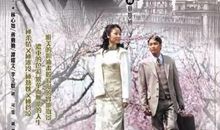 娟子：《半生缘》读后感