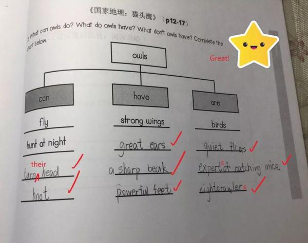 学好思维导图，孩子再也不怕写英语作文啦！ 11