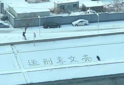 读后感:没有那个惊心的背景,但可以再次阅读 5