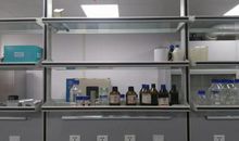 【暑假·见闻】实验生活“读后感”