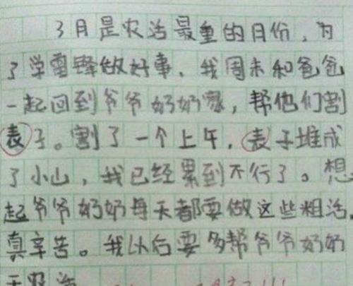 宋家岭之景初中作文