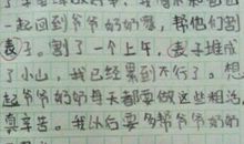 宋家岭之景初中作文