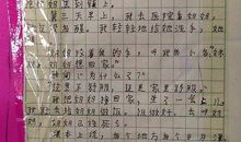 小学作文指导：培养小学生作文的情趣