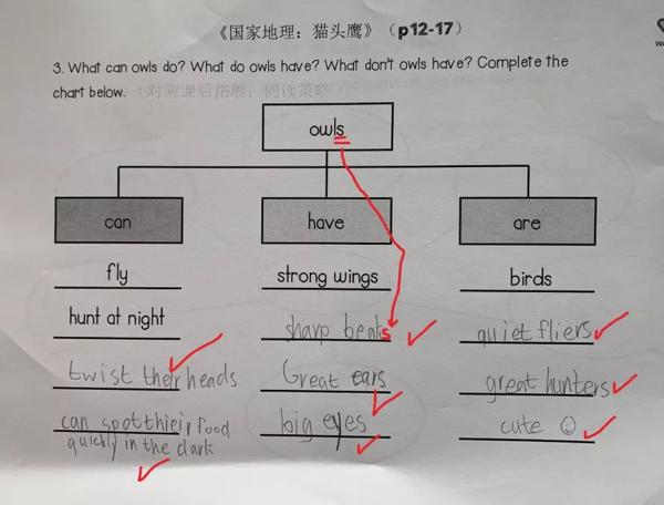 学好思维导图，孩子再也不怕写英语作文啦！ 10
