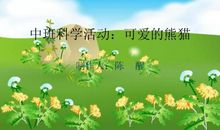 幼儿园中班科学教案可爱的熊猫