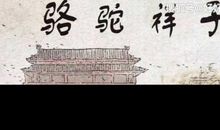 《骆驼祥子》读后感范文700字