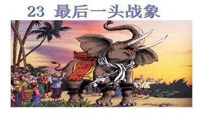 最后一头战象的读书笔记5篇