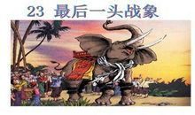 最后一头战象的读书笔记5篇