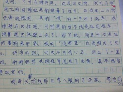 假如我与心中的英雄生活一天 想象的作文450字