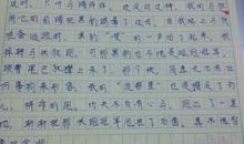 假如我与心中的英雄生活一天 想象的作文450字