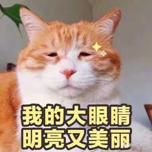 被誉为“高考满分作文”《书生》 3