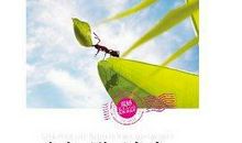 初三叙事作文：人生应敢于做梦，勇于奋斗_700字