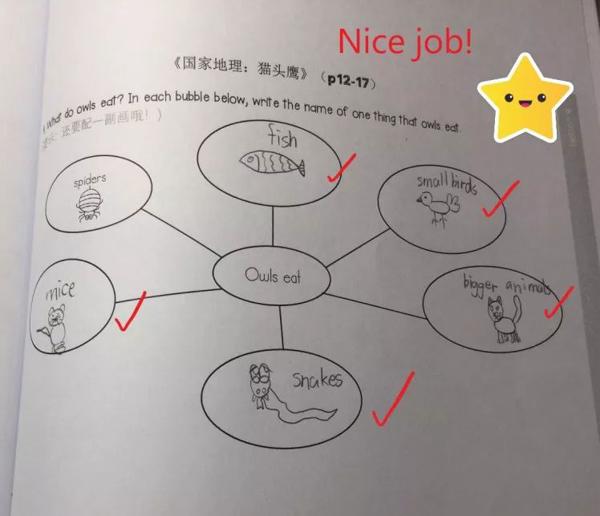 学好思维导图，孩子再也不怕写英语作文啦！ 6