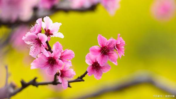 申论作文素材：2020年4月16日《人民日报》好句子，推荐收藏！