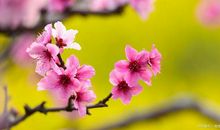 申论作文素材：2020年4月16日《人民日报》好句子，推荐收藏！