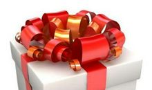 新年的作文1000字