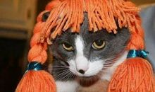 被誉为“高考满分作文”《书生》