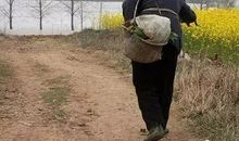 2019高考满分作文： “命”