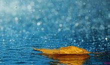 夏天的雨初中作文