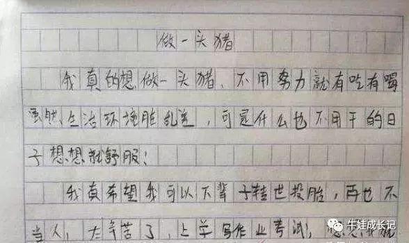 “爸爸就是不动如山！”00后写起作文有多野？差点笑断气 9