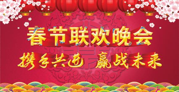 关于春节的作文：一起看春节联欢晚会_350字