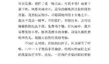 小学六年级心愿作文800字