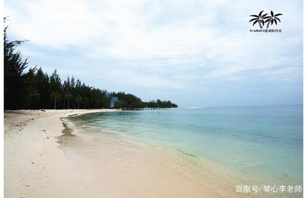 自然质朴的高考作文,能像朱自清《背影》一样以情动人,斩获高分
