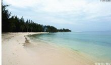 自然质朴的高考作文，能像朱自清《背影》一样以情动人，斩获高分