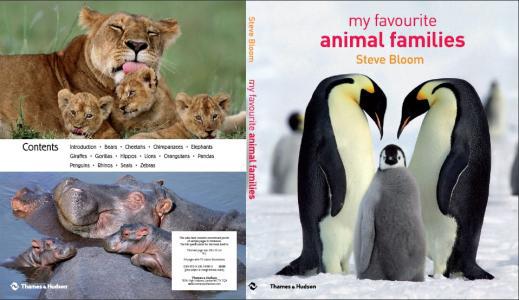 我喜欢的动物My Favorite Animal_450字