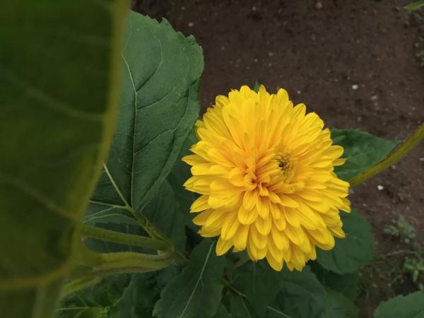 如何写好读后感 6