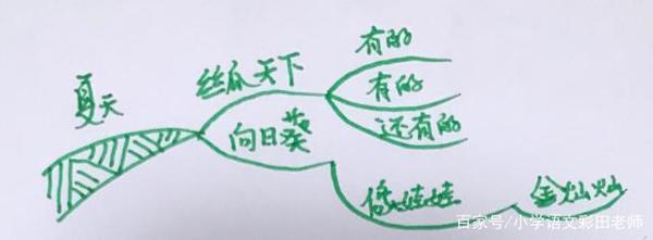 作文刚起步,写景没顺序,这种方法让你布局谋篇来得快 6